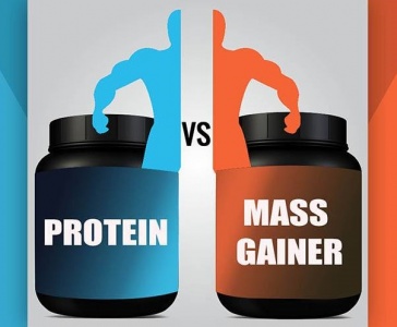 Ваш путь к идеальным мышцам: протеин или гейнер – что выбрать для максимальных результатов?